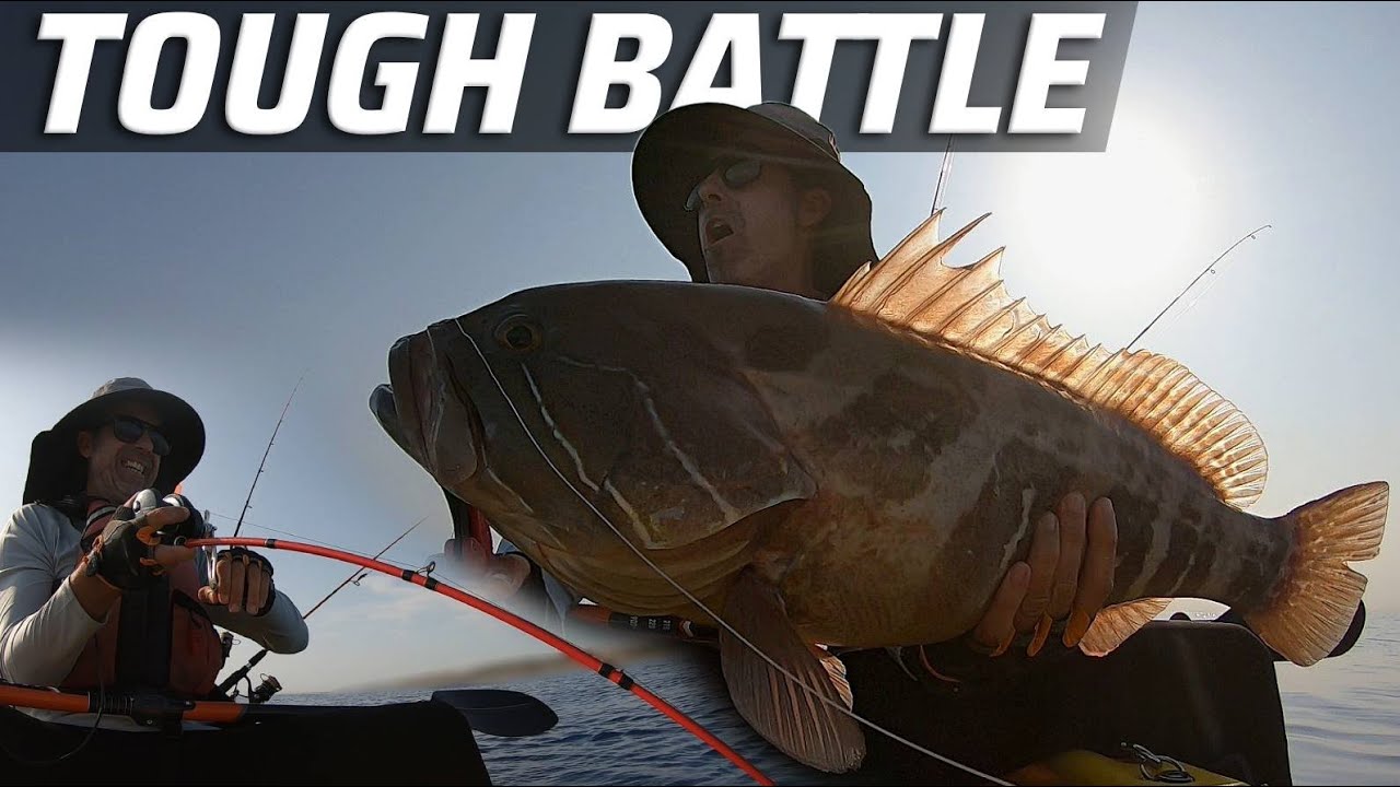 Epic day ! White Grouper 6kg | Slow Jigging in deep sea | Live strike