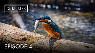 The Wild Lakes of Masuria | Europe's Waterways | Episode 4