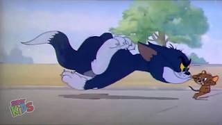 Tom And Jerry Cartoon ᴴᴰ 05 Tom And Jerry Best Cartoon For Kids English Hd