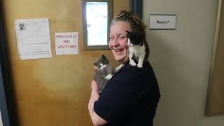 Do you know about our Kitty Prison Program