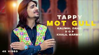 Mot Gull Tappy | Kaliwal Zahid | Pashto New Songs 226 | Tappy | Official Music Video