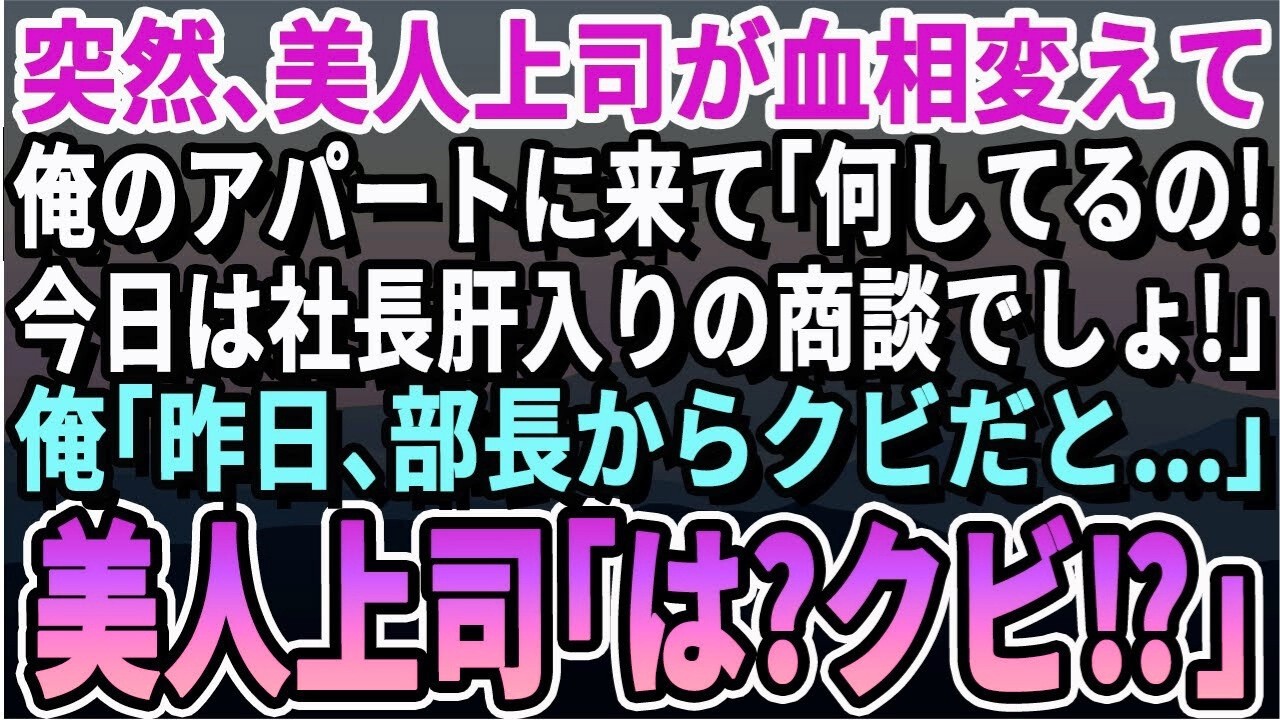 【感動する話】突然美人上司が顔面蒼白で俺のアパートに来て「何してるの！今日10時から大事な商談なのよ！？」俺「え？昨日部長からクビだって…」美人上司「は？クビ？」その後驚きの展開に【スカッと・朗読】