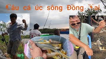 Câu cá úc sông Đồng Nai giật mỗi tay! Trường Giang Fishing