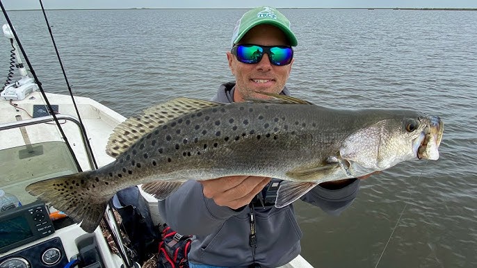Big SPECKLED TROUT in popular community hole! 