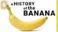 The Secret History of the Banana ile ilgili video