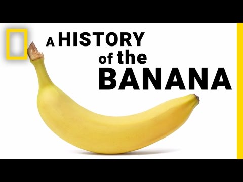 וִידֵאוֹ: מהי בננה אילאיצ'י?