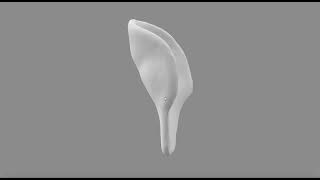 3D Printed Solid Model