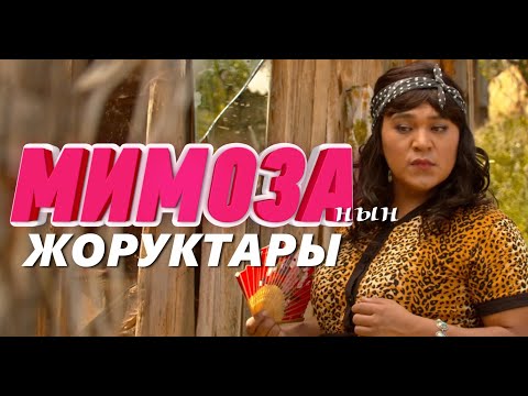 Video: Мимозанын сыйкырдуу касиеттери