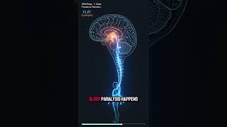 What Is Sleep Paralysis Really Doing to Your Mind? 😶