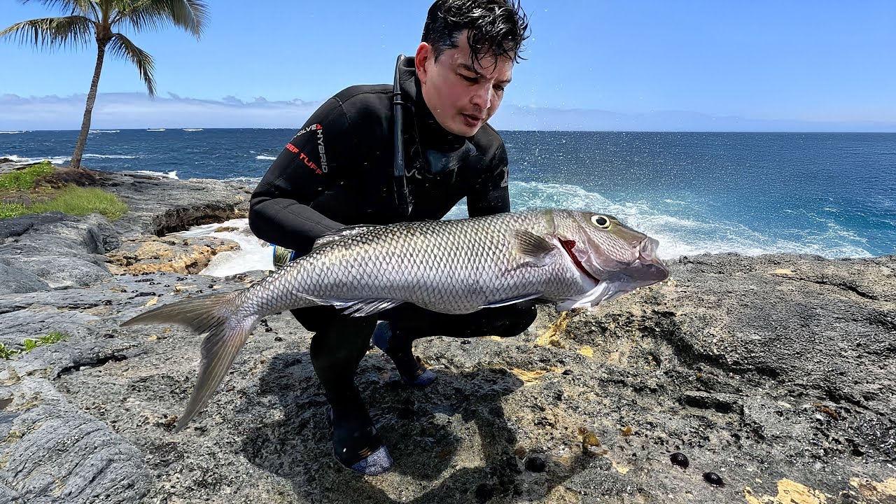 Hawaii Shore Dive For Uku
