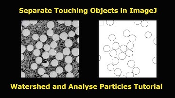 Separate touching objects in ImageJ/Fiji (Watershed)