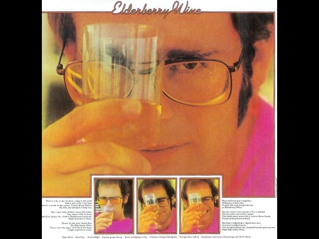 Elton John - Elderberry Wine