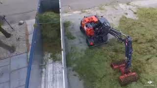 Grasgewas Oogst En Transport 2017 Fa Van Der Wal Creil