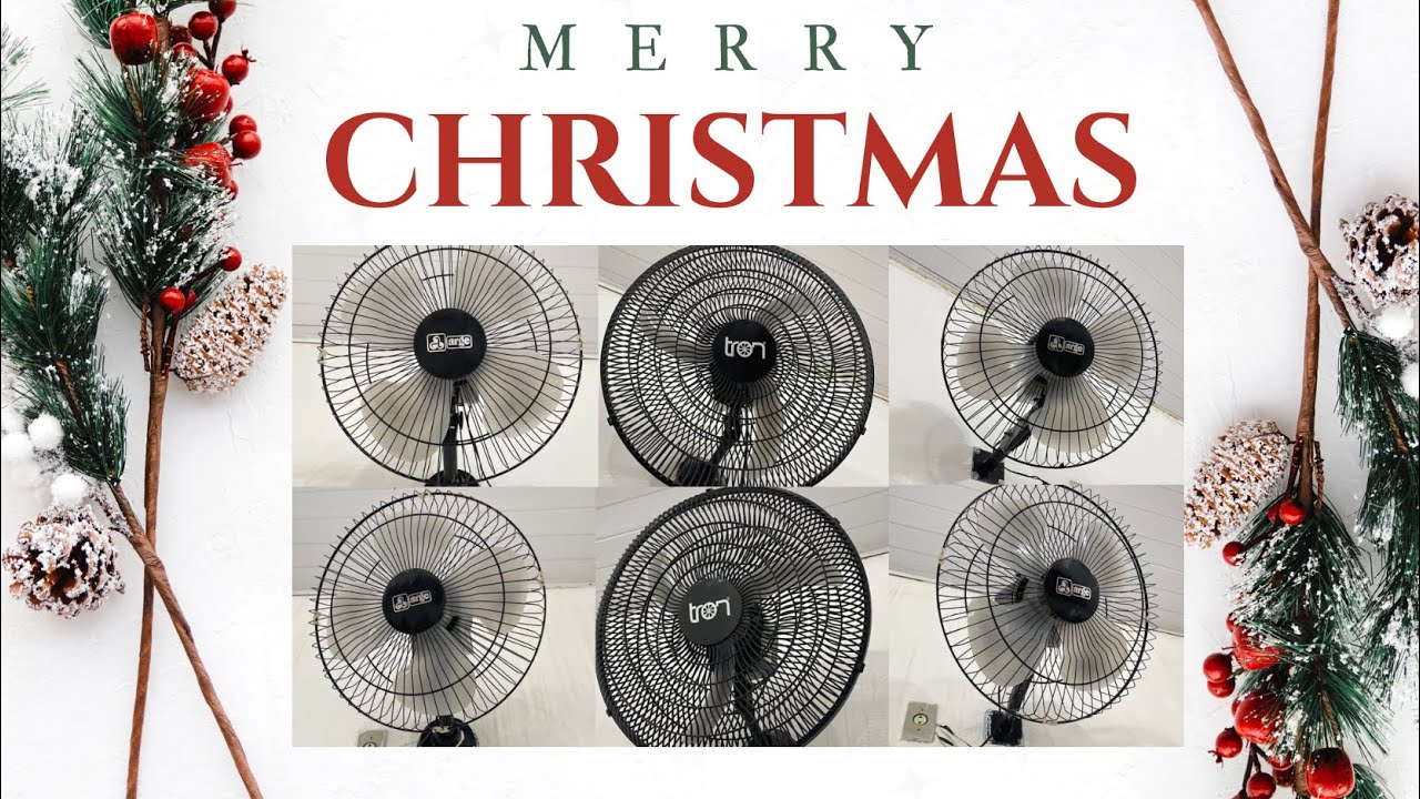 Especial de Natal 2024!! 🎄🌟