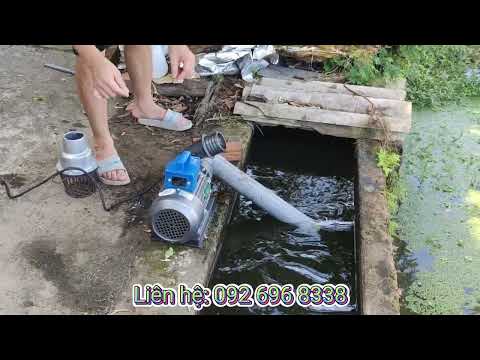 Video Chạy bơm tưới ruộng 1,5HP ống 76 - 092 696 8338 - youtube