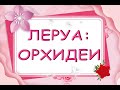 Леруа:ЧУДЕСНЫЙ завоз ОРХИДЕЙ,волшебные МИНИ,02.04.21,ТЦ "Космопорт",Самара.