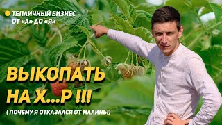 Выкопать!!! Почему я отказываюсь от тепличной малины