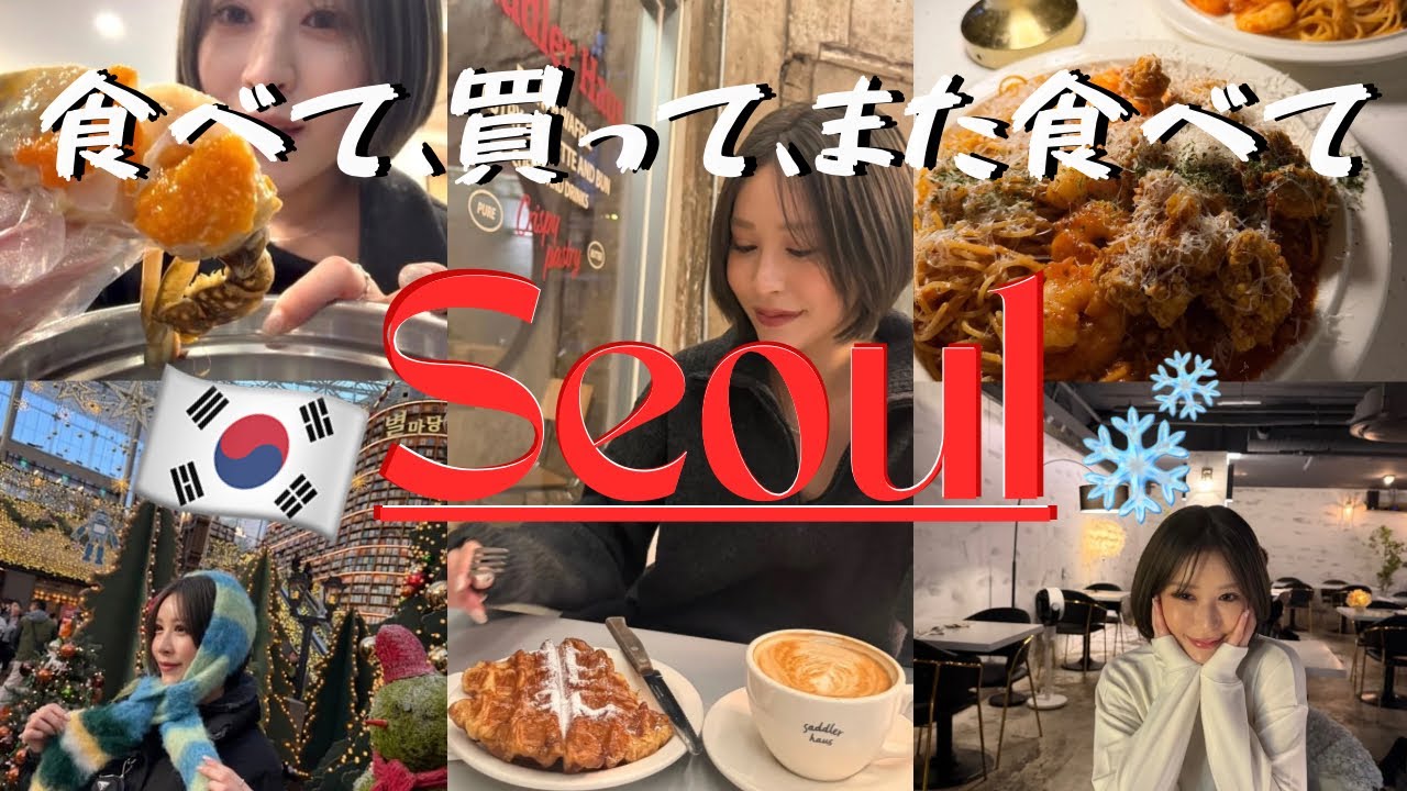 【韓国Vlog】2025冬/韓国グルメ/江南地下街/ソウル/韓国旅行/女子旅/江南/韓国イタリアン/カンジャンケジャン/トッポギ/韓国ファッション