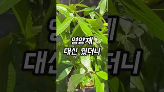 이벤트 배너