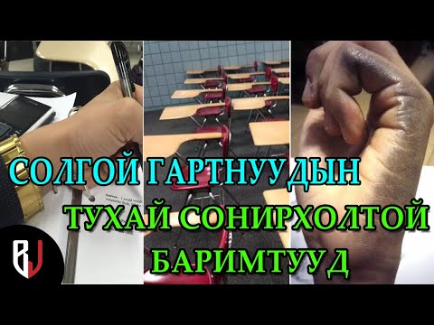 Видео: Муурны тухай гайхалтай баримтууд