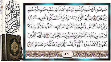 سورة التحريم قراءة بالتجويد الشيخ أيمن سويد Surah Al-Tahrim (The Prohibition) Sheikh Aymen Swaid