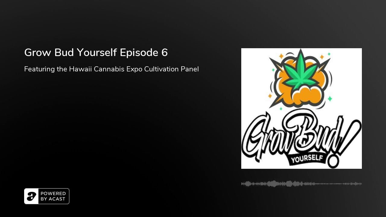 Grow Bud Yourself Episode 6 - Guests: Ed Rosenthal, Swerve, Professor P, Joey Green and Brian Malin