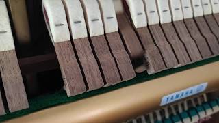 upright piano shank bouncing noise
