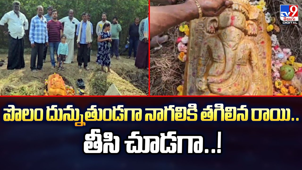 పొలం దున్నుతుండగా నాగలికి తగిలిన రాయి.. తీసి చూడగా..! | Ganesh Vigrah in Field - TV9