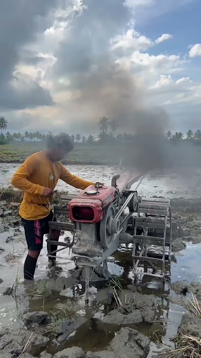 Bringing a tractor to the rice fields, it's so much fun🤤 #378 #KOOKIKO