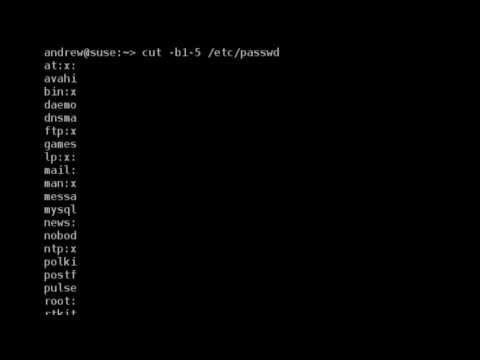 Linux Video Man Pages - cut
