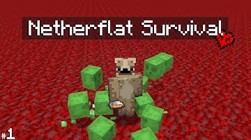Can I Survive on a Hardcore Nether Superflat World with Nothing but... a few Mods?! | [Ep 1]