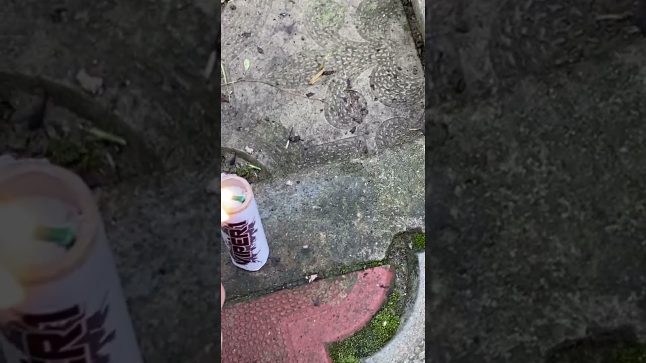 petardový test Viper 1 white Klasek 2021