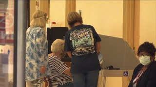 Law enforcement prepares for possibility of armed militias, voter suppression at Florida polling...