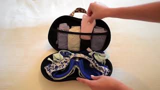 Travel Bra Organiser