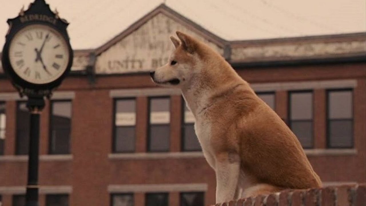 8 хороших фильмов, которые тронут до глубины души