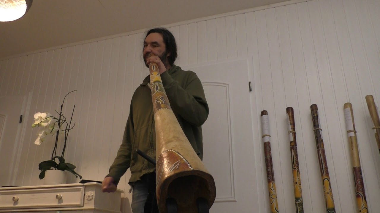 Didgeridoo TDL15