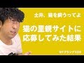 猫の里親募集サイト「ぺっとのおうち」に応募してみた結果【群馬よいじゃねぇ GYグランプリ /土井】