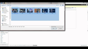 BestWebsitesDesigner.com how to add images to Next-Gen gallery plugin In Wordpress