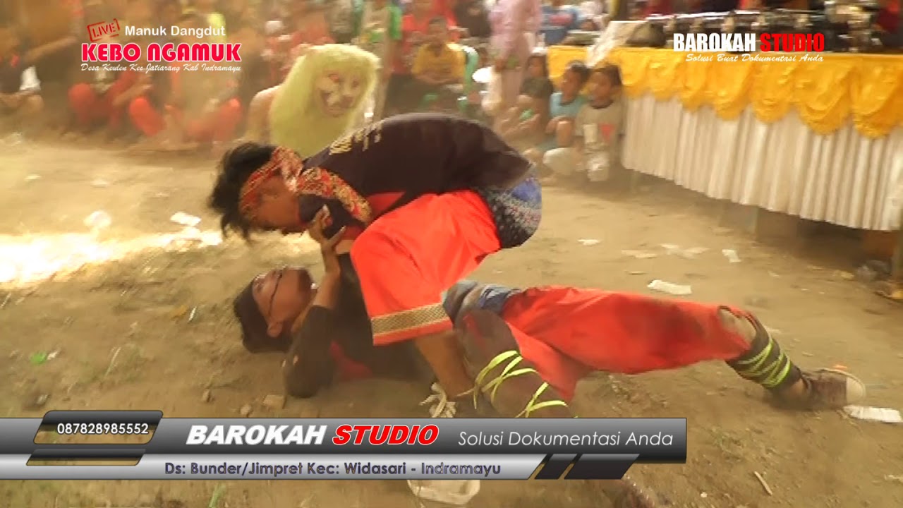 ATRAKSI KEBO NGAMUK  THE OF MAGIC