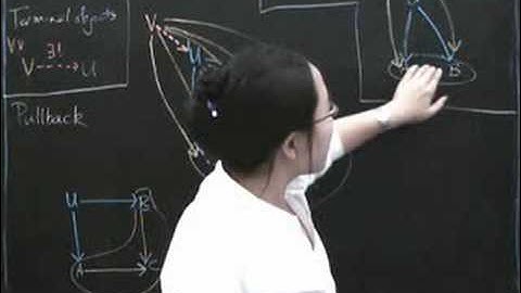 General limits and colimits 2