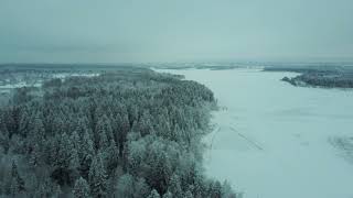 Зимний лес с дрона.