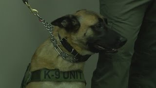 Greene Co. Sheriff's Dept. turns rescue dogs into K9 officers