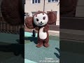 Чебурашка очень круто танцует аниматоры ростовыекуклы сюрприз чебурашка