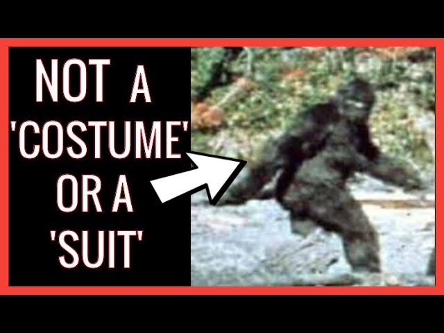 Patterson Gimlin Bigfoot: Why It's Real and Not a Costume or a Man In a  Suit - YouTube