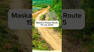  The Maskam Flower Route 19 July 2025 southafrica travel maskamguestfarm namakwaland