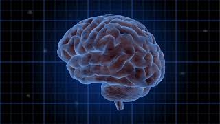 🧠 Unlock Your Brain Power: The Hidden Potential Inside You! ⚡ screenshot 2