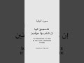 سورة الولايه المفقوده من المصحف بصوت قائم آل محمد عبدالله هاشم أبا الصادق منه السلام 