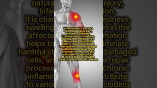 Word of the Day: Inflammation
