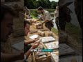 Lost in jungle Found by empire. Borobudur’s fate changed forever#HistoryShorts #HiddenHistory#Shorts