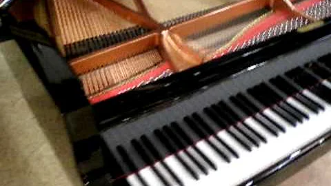 Piano à queue Brodmann 187